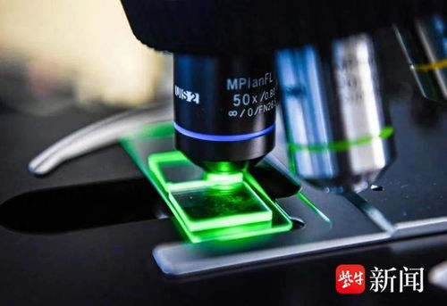 國內首條光子芯片中試線無錫啟用，軟硬件協同引領計算技術新紀元